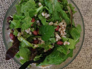 Hearty Bean & Grain Salad with Simple Orange Juice Dressing